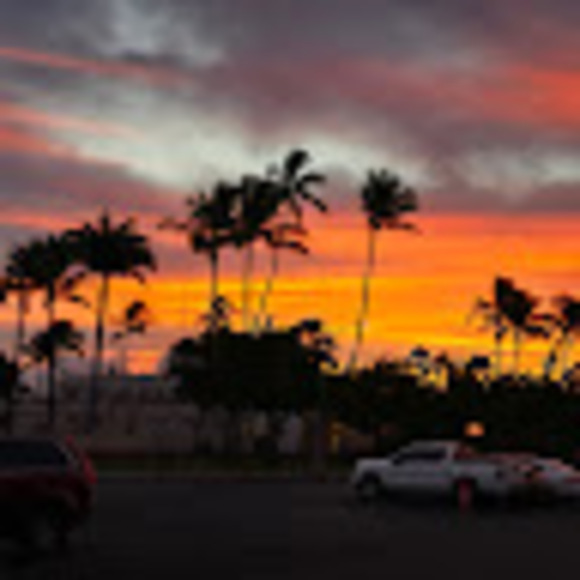 mliu808